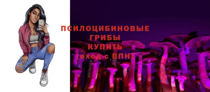 Псилоцибиновые грибы Magic Shrooms  Верхоянск 